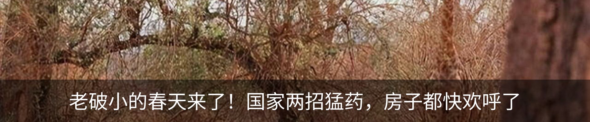 资讯动态